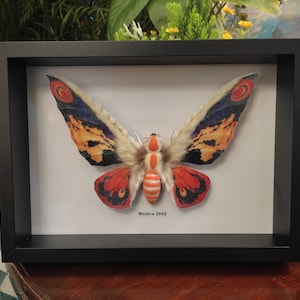 May include: A framed moth with orange, red, black, and white wings. The moth is displayed on a white background with the text "Mothra 2002".
