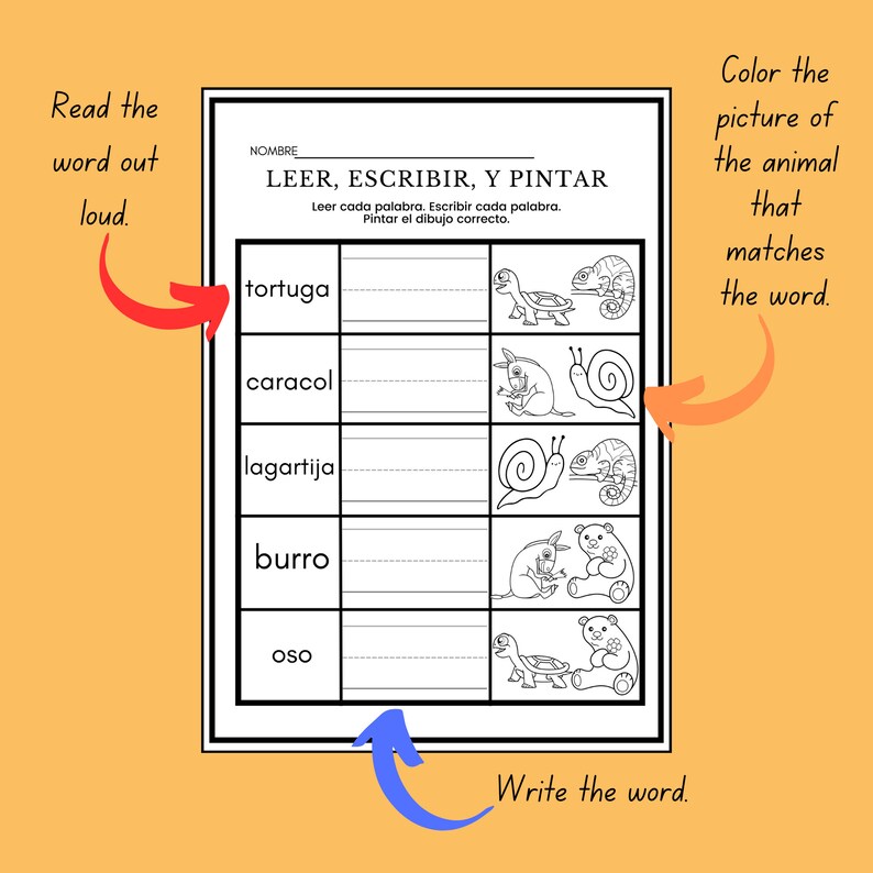 Animals in Spanish Worksheets No Prep Needed Read Write Draw Color Animals in Spanish Worksheets No Prep Needed Read Write Draw Color