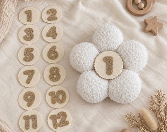 Baby Milestone Flower Marker, Monthly Baby Milestone, Daisy Photo Prop, 1-12 Month Marker, First Year Baby Keepsake, Newborn Photo Prop