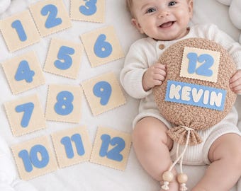 Baby Milestone Set with Balloon and Cards, Personalized Felt Number Photo Props, First Year Baby Photo Prop, 1-12 Month Milestones