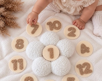 Baby Milestone Flower Marker, Monthly Baby Milestone, Daisy Photo Prop, 1-12 Month Marker, First Year Baby Keepsake, Newborn Photo Prop
