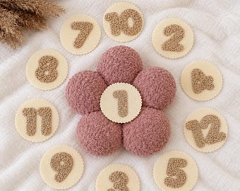 Baby Milestone Flower Marker, Monthly Baby Milestone, Daisy Photo Prop, 1-12 Month Marker, First Year Baby Keepsake, Newborn Photo Prop