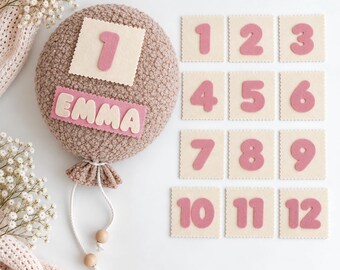 Personalized Baby Milestone Set, Felt Number Photo Props, 1-12 Month First Year Baby Photos