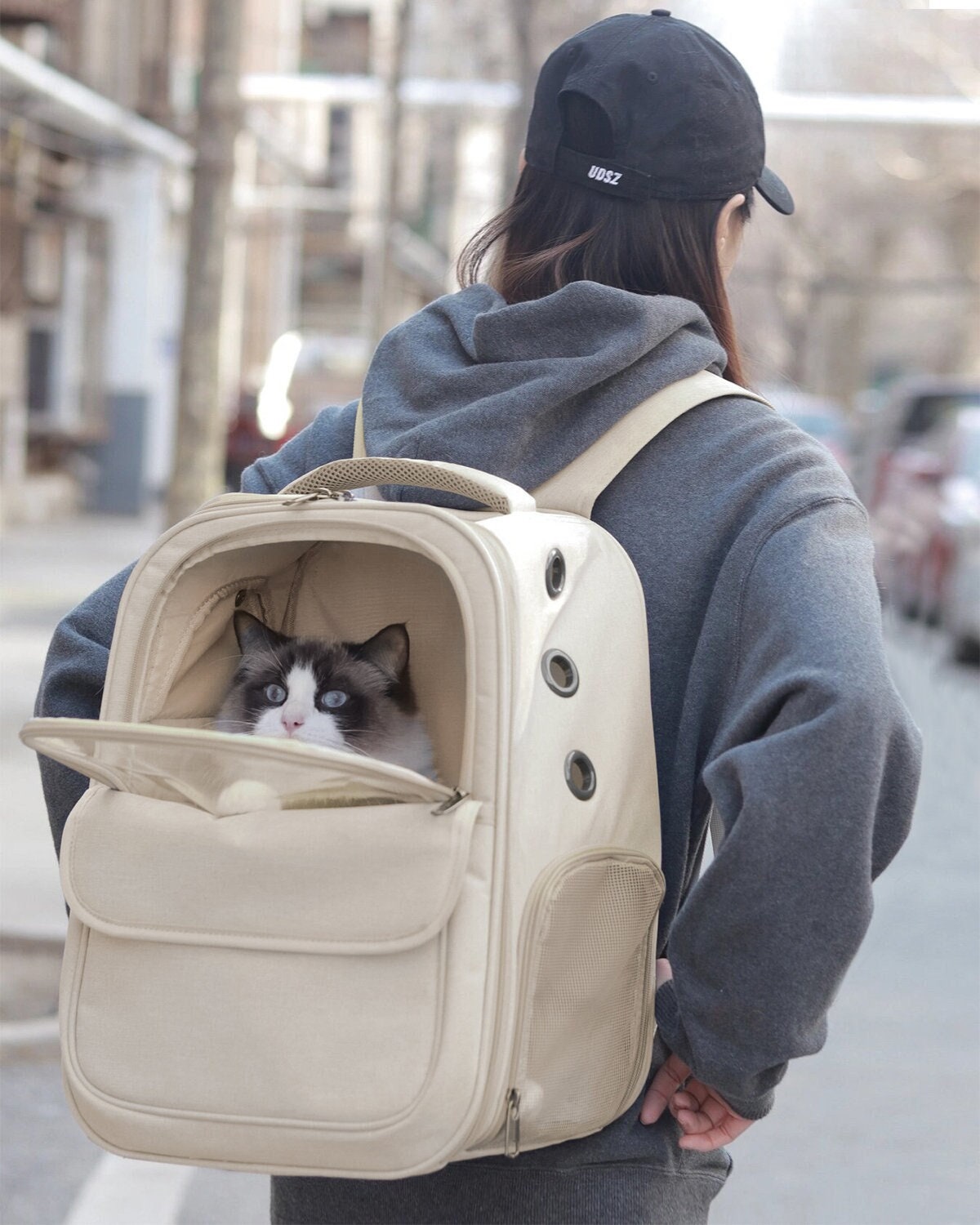 Personalized cat clearance carrier