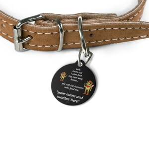 Personalized Whimsical Pet ID Tag: Glossy Metal, Double-Sided
