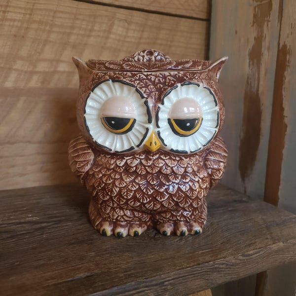 Un tarro de galletas de búho de doble cara vintage de 1982: ¡un hallazgo súper lindo y único/RARO! Cocina vintage/de granja