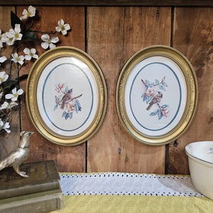 May include: Two oval wall frames with gold-toned, ornate borders containing prints of small brown birds perched on flowering branches. Each print features a light cream background with a thin blue border, showcasing detailed botanical illustrations.