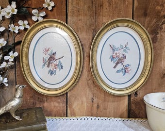 A set of 2 oval framed bird pictures! Vintage 1980s-  appear to be  HOMCO- 11x9 inches diameter- so pretty!!