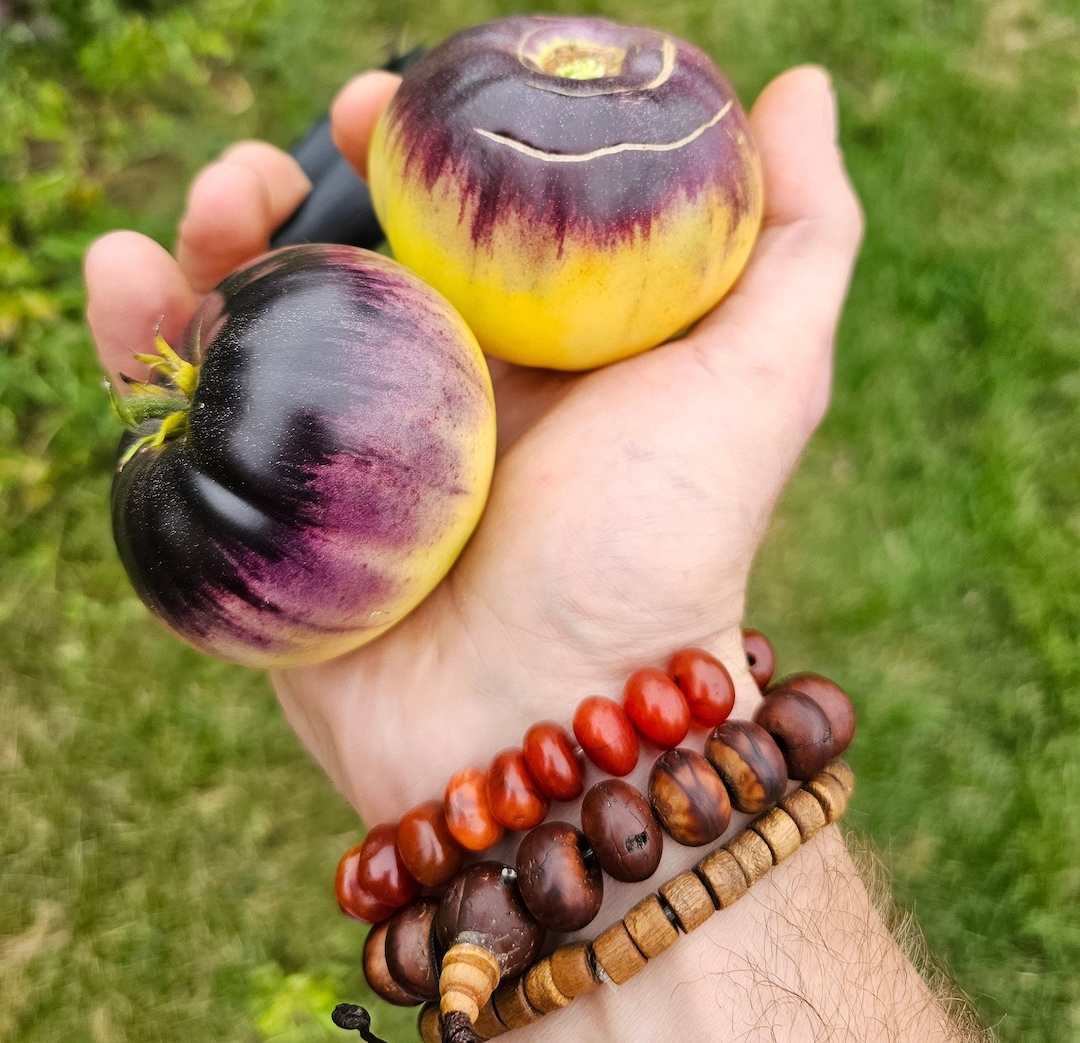 Sart Roloise Heirloom Tomato Seeds. - Etsy