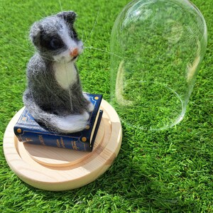 Les garçons de Shakespeare - Macbeth. Un petit chat en feutre était assis sur un livre de Shakespeare miniature à l&#39;intérieur d&#39;une cloche en verre.