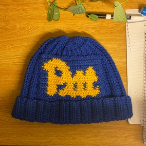 Adult Pitt Crochet Beanie