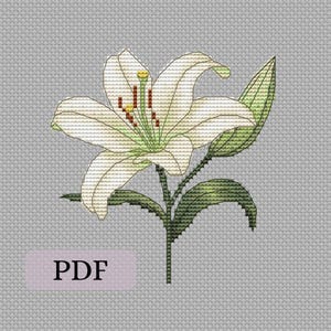 Lily cross stitch pattern, spring flower cross-stitch embroidery design, digital download PDF file, easy modern x-stitch chart