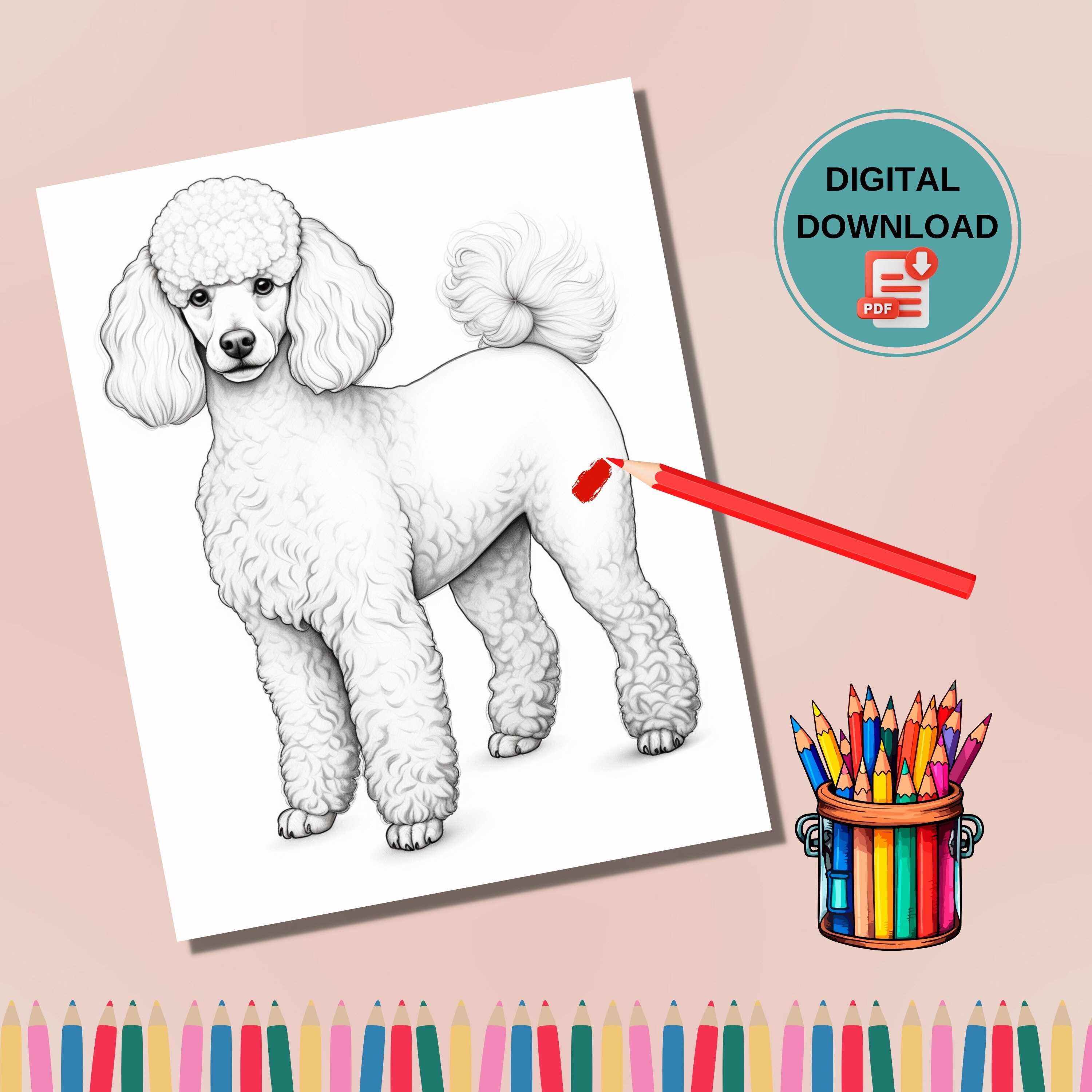 70 Dog Breeds Coloring Page Book, Adults and Kids- Instant Download ...