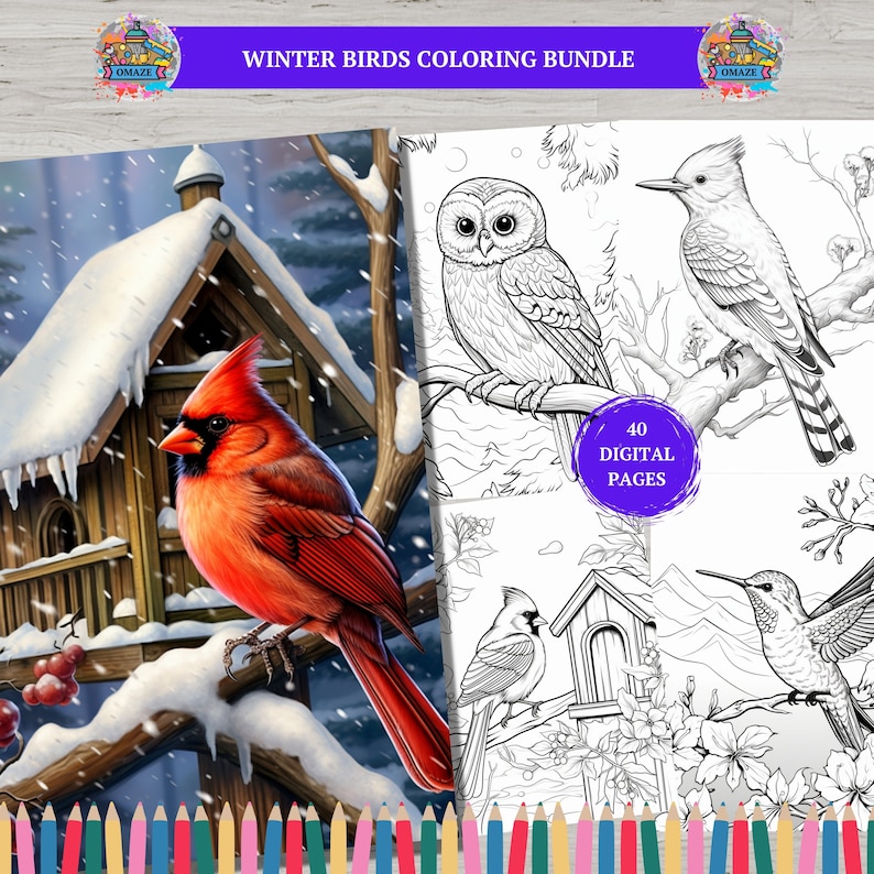 40 Winter Birds Coloring Pages, Grayscale, Coloring Sheets, Printable