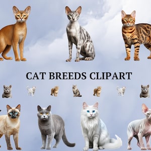 76 Cat Breeds Clipart Bundle Cats Clipart, Cats Clipart, Animals Clipart, Watercolor Cats, Watercolor Animals, Cat Lover Gift, Realistic Cat
