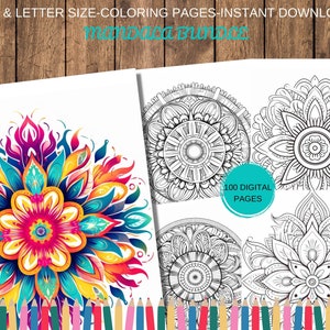 100+ Mandala Coloring Book Pages, Libro da colorare, Fogli da colorare stampabili, Libro da colorare stampabile per adulti e bambini, Download immediato
