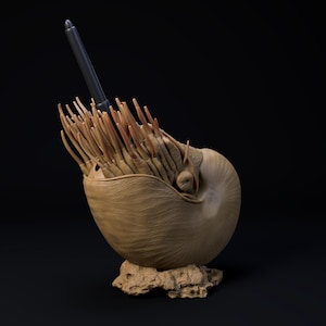May include: A detailed sculpture of a nautilus shell. The shell is light brown, with a dark grey, cylindrical object inserted into it. The sculpture sits on a small, textured, tan-coloured base. The sculpture has intricate details.