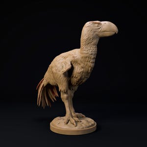 May include: A detailed sculpture of a large, prehistoric bird, possibly a Phorusrhacidae, with a prominent beak and detailed feather texture. The sculpture is a light tan colour and stands on a circular base against a black background.