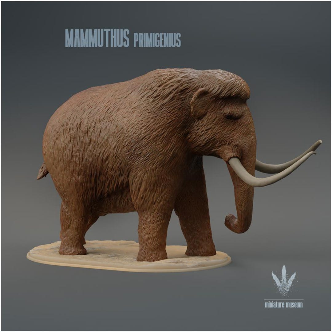 Mammuthus Primigenius - Woolly Mammoth 1:35 Scale Model