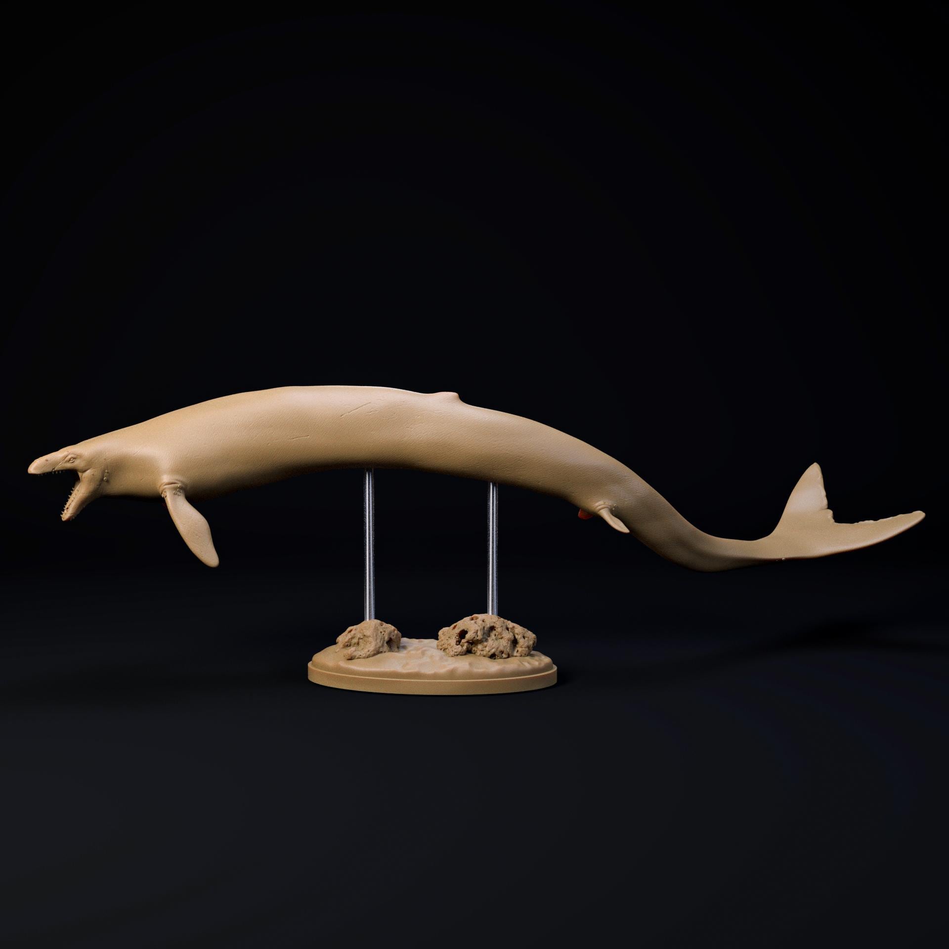 Basilosaurus 1:35 Scale Model - Exceptional 3D Resin Printed Miniature ...