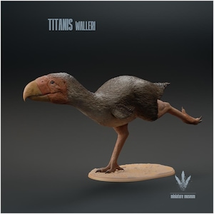 Titanis Walleri Running 1:20 Scale Model - Exceptional 3D Resin Printed Miniature Model | Dinosaurs, Bird, Jurassic