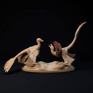 Microraptors Courting 1:6 Scale - Exceptional 3D Resin Printed Miniature Model | Dinosaurs, TableTop Gaming, Jurassic, DND Creature