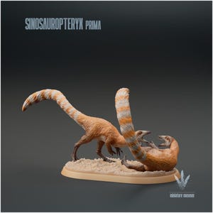 Sinosauropteryx Fighting 1:6 Scale - Exceptional 3D Resin Printed Miniature Model | Dinosaurs, TableTop Gaming, Jurassic, DND Creature