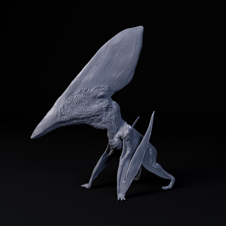 Thalassodromeus 1 35 Scale Model Exceptional 3D Resin Printed 