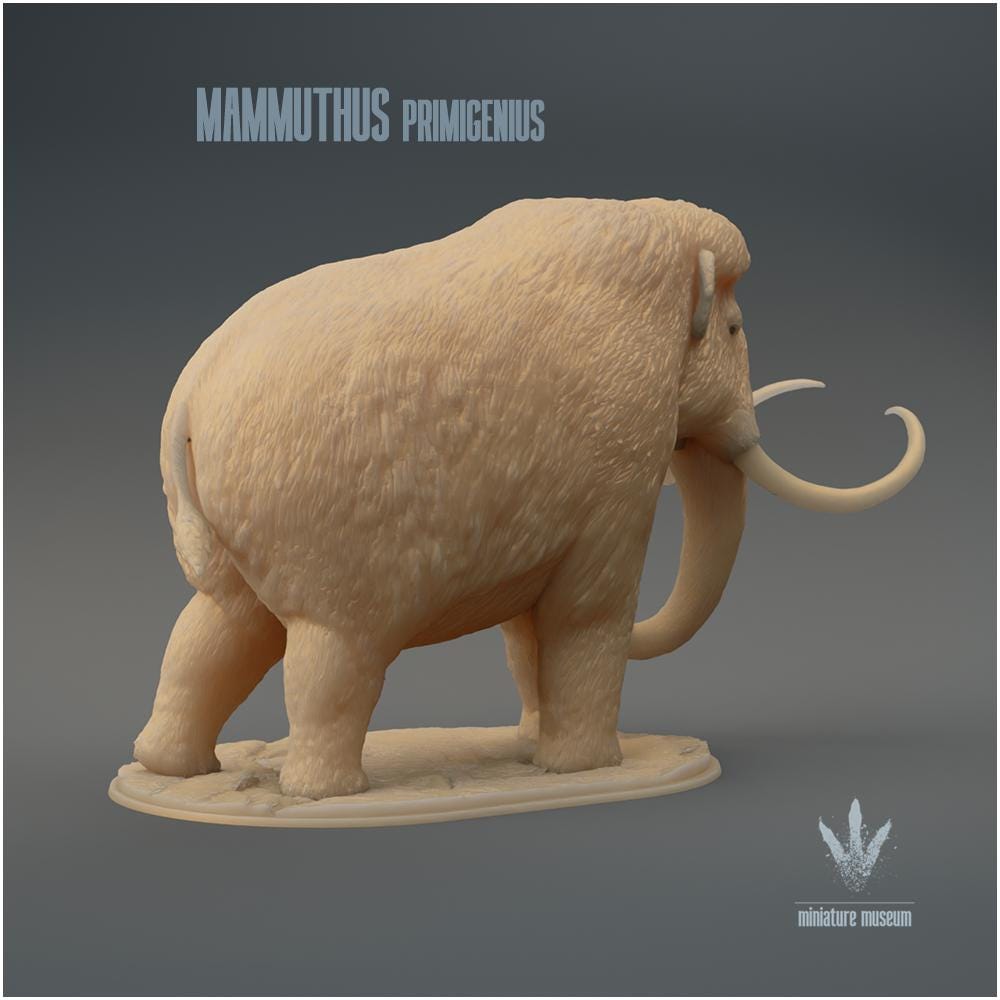 Mammuthus Primigenius - Woolly Mammoth 1:35 Scale Model