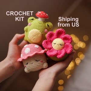 Crochet Kit set Mushroom Frog Flower, Amigurumi KIT amigurumi fly agaric spring decor, Difficulty middle Pattern+materials Kawaii DIY Craft