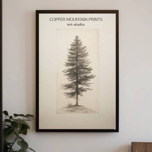 May include: Framed art print featuring a detailed pencil drawing of a tall evergreen tree. The artwork is set against a neutral background and framed in a black border. The text "COPPER MOUNTAIN PRINTS art studio" is printed at the top.