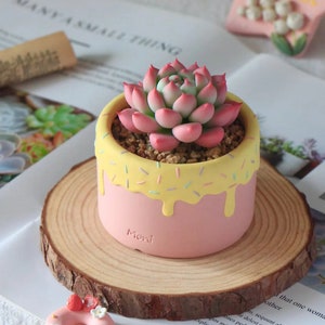 Cute colorful plant pot frosting style ceramic rainbow color planter for dessert lover gift handmade planter garden lover original design