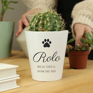 May include: A white ceramic plant pot with a cactus. The pot features a black paw print and the name "Rolo" in cursive, with "BEAUTIFUL DASCHUND" below. It sits on a wooden surface.