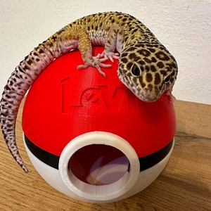 Décoration personnalisée de terrarium de reptiles en peau d'humidité de Pokemon Gecko