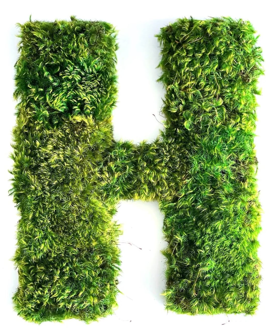 Moss Letters, Preserved Mood Moss, Moss Logo, Natural Gift, Moss Art