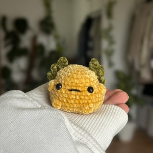 Peut inclure: Un petit jouet en peluche crochet&eacute;, de forme ronde et de couleur jaune dor&eacute;, avec une texture douce et velout&eacute;e. Il pr&eacute;sente deux appendices vert fonc&eacute; en forme de feuilles fris&eacute;es sur le dessus, deux petits yeux en perles noires et une bouche.