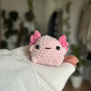 Peut inclure: Un petit axolotl en peluche crochet&eacute; rose clair avec une finition en fil textur&eacute; doux. Il pr&eacute;sente deux branchies externes ramifi&eacute;es rose fonc&eacute; de chaque c&ocirc;t&eacute; de la t&ecirc;te, deux yeux ronds en plastique noir et une simple bouche noire brod&eacute;e.