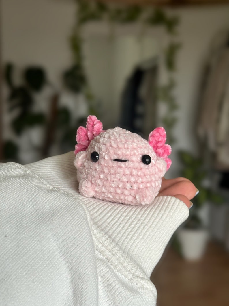 Peut inclure: Un petit axolotl en peluche crochet&eacute; rose clair avec une finition en fil textur&eacute; doux. Il pr&eacute;sente deux branchies externes ramifi&eacute;es rose fonc&eacute; de chaque c&ocirc;t&eacute; de la t&ecirc;te, deux yeux ronds en plastique noir et une simple bouche noire brod&eacute;e.