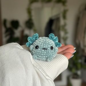 Peut inclure: Un petit jouet axolotl en crochet, r&eacute;alis&eacute; en fil de velours bleu clair doux. Il pr&eacute;sente deux branchies externes plumeuses d'un bleu sarcelle plus fonc&eacute; de chaque c&ocirc;t&eacute; de la t&ecirc;te, deux petits yeux en perles noires et une bouche droite.