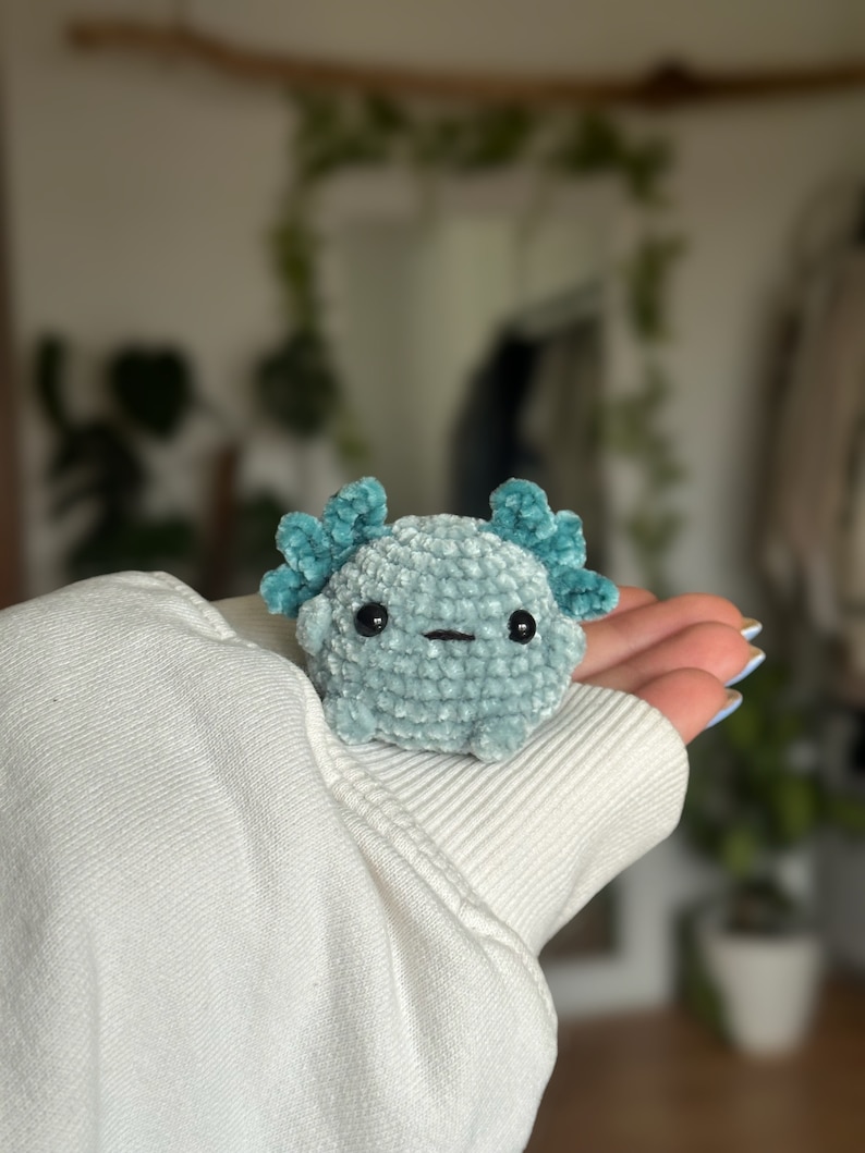 Peut inclure: Un petit jouet axolotl en crochet, r&eacute;alis&eacute; en fil de velours bleu clair doux. Il pr&eacute;sente deux branchies externes plumeuses d'un bleu sarcelle plus fonc&eacute; de chaque c&ocirc;t&eacute; de la t&ecirc;te, deux petits yeux en perles noires et une bouche droite.