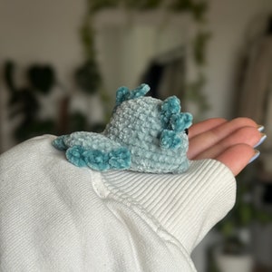 Peut inclure: Un petit axolotl en crochet fait main, r&eacute;alis&eacute; avec un fil de velours bleu clair doux. La cr&eacute;ature pr&eacute;sente une t&ecirc;te arrondie, une queue plate et des branchies externes bleu sarcelle plus fonc&eacute;es sur les c&ocirc;t&eacute;s, avec un &oelig;il noir visible.