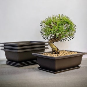 Bonsai Pot with Stand 7.5 Inch Small Bonsai Tree Training Pot Mesh
