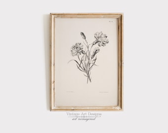 Antique Print, Vintage Art, Antique Art, Sketch Downloadable Art, Neutral Wall Art, Vintage Print, Downloadable Print, 61-55