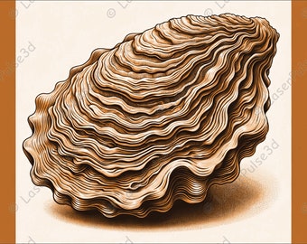 Immagine di incisione laser di conchiglia di ostrica / File PNG di masterizzazione laser / File pronto per laser 3D / Foto ad alta risoluzione / Grafica di illusione 3D