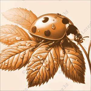 May include: A close-up of a ladybug with black spots on its orange shell, perched on a leaf with dew drops. The leaf is a light brown color and has a detailed vein pattern.