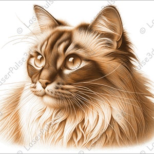 Balinese Cat Laser Engrave Image | Laser Burn PNG File | 3D Laser Ready File | High Resolution Photo | 3D Illusion Graphics