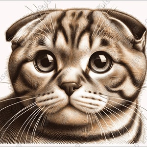 Scottish Fold Cat Laser Engrave Image | Laser Burn PNG File | 3D Laser Ready File | High Resolution Photo | 3D Illusion Graphics