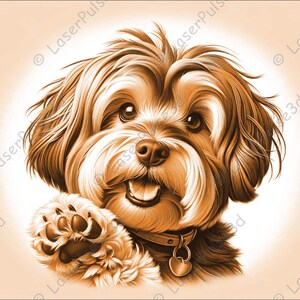 May include: A brown and white dog with a happy expression, wearing a black collar with a heart charm, raises its paw in a friendly gesture.