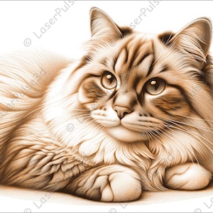 Ragdoll Cat Laser Engrave Image | Laser Burn PNG File | 3D Laser Ready File | High Resolution Photo | 3D Illusion Graphics