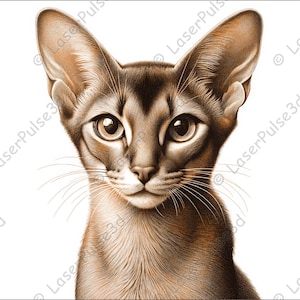Abyssinian Cat Laser Engrave Image | Laser Burn PNG File | 3D Laser Ready File | High Resolution Photo | 3D Illusion Graphics